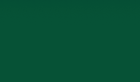 Oracal 651 - Forest green