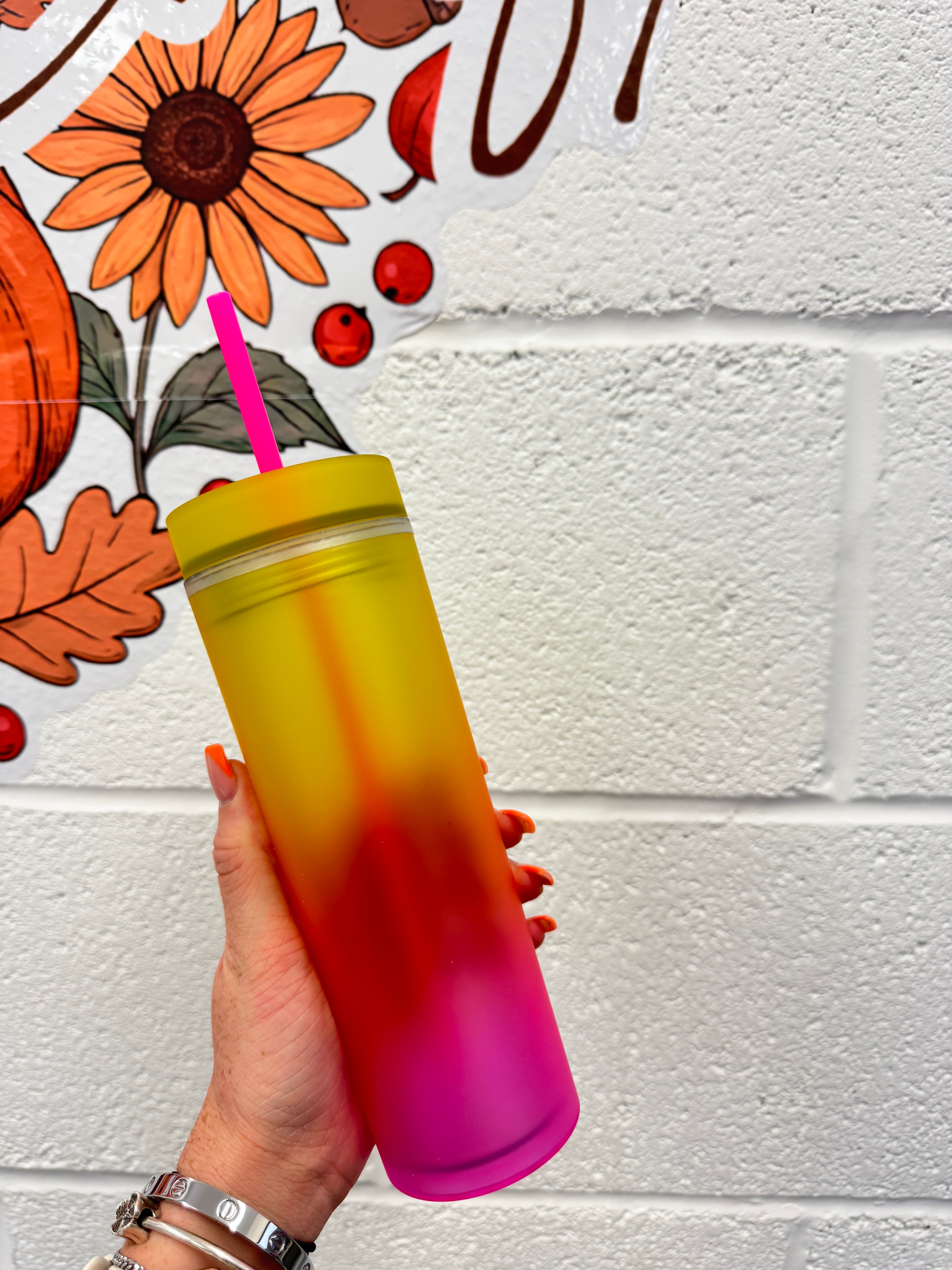Rainbow Skinny Tumblers
