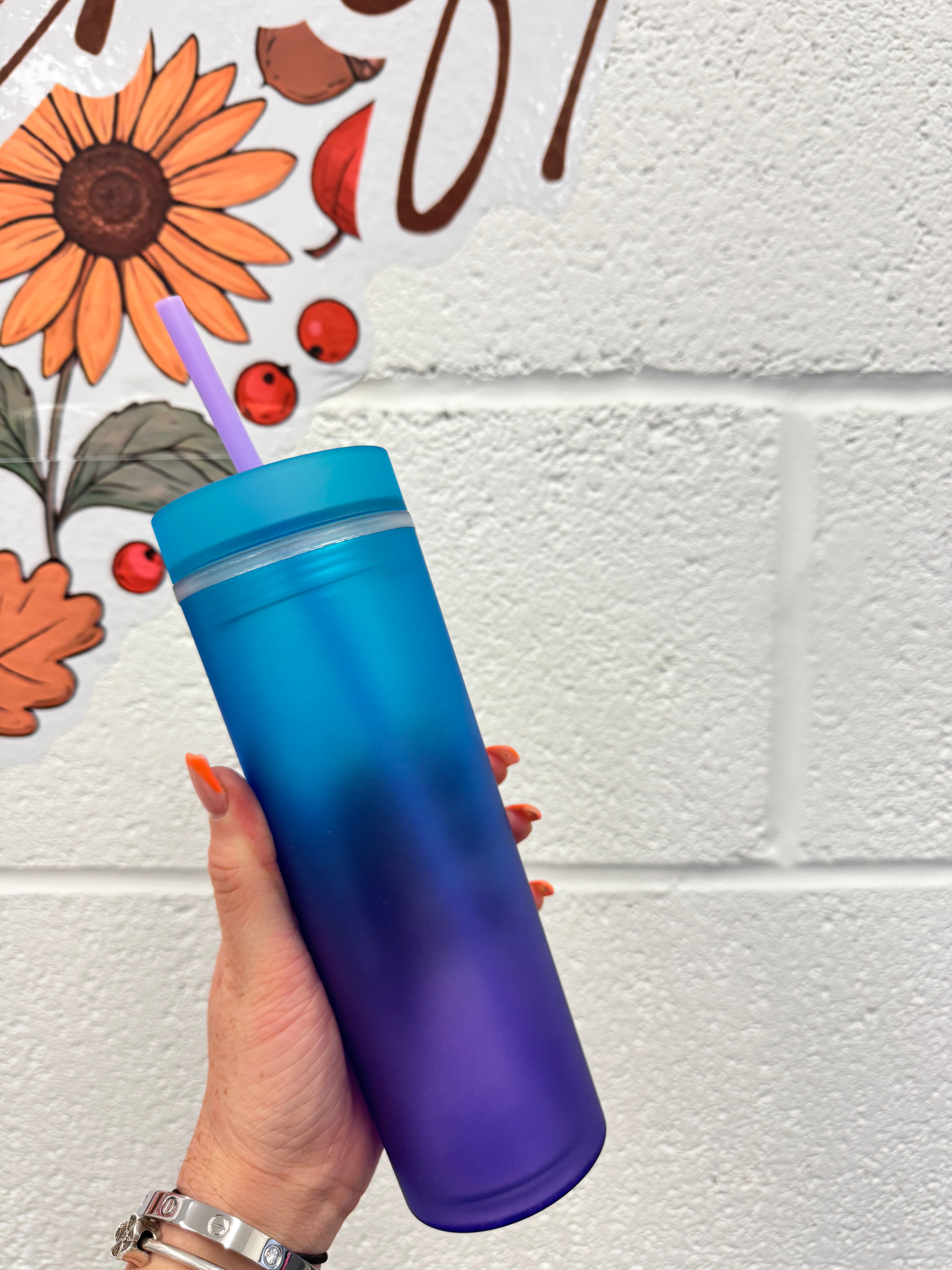 Rainbow Skinny Tumblers
