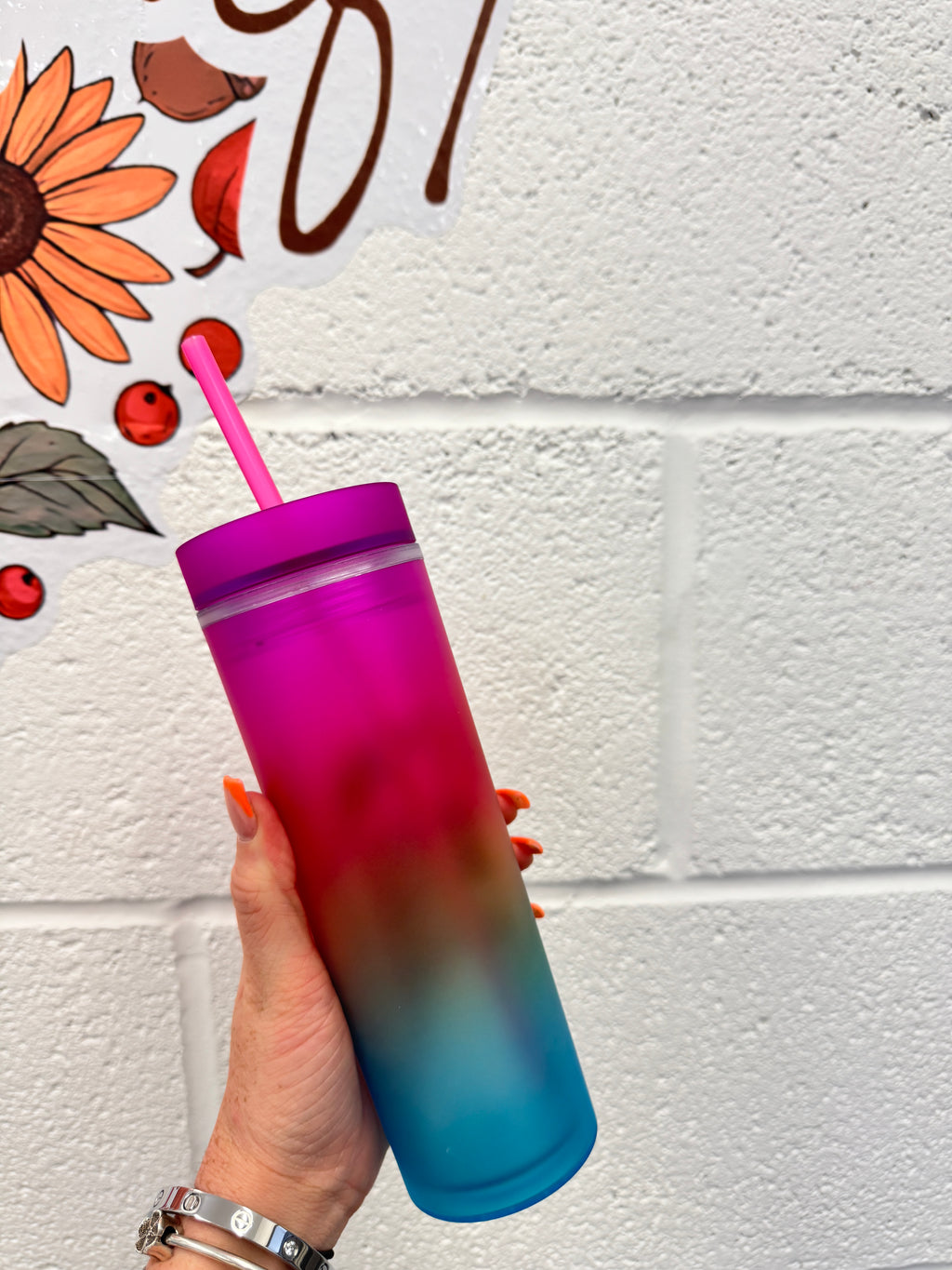 Rainbow Skinny Tumblers