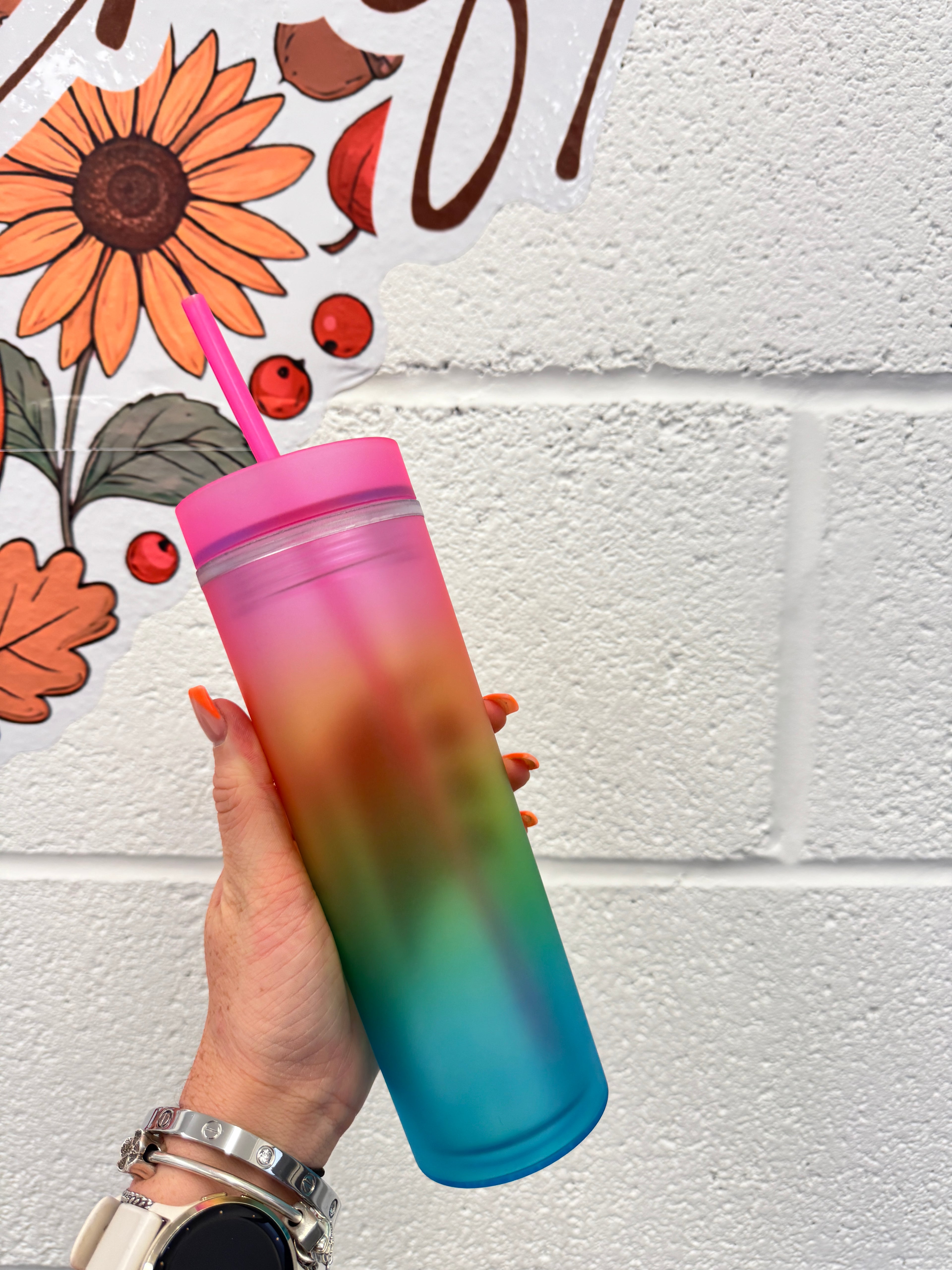 Rainbow Skinny Tumblers