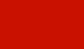Oracal 651 - Matte Light red