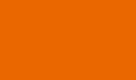 Oracal 651 -Matte Light Orange