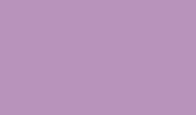 Oracal 651 - Matte Lilac
