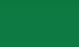 Oracal 651 -  Matte Grass Green